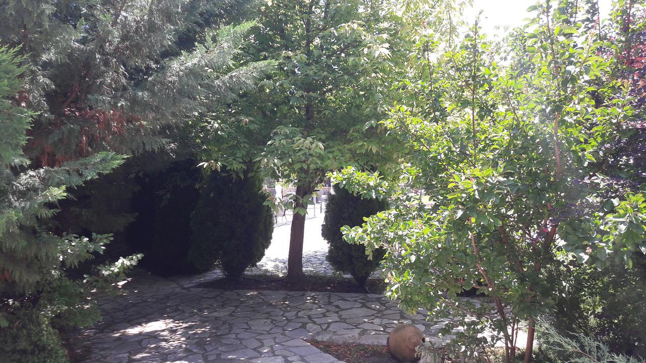 Apollonion Hotel Andritsaina Exterior foto